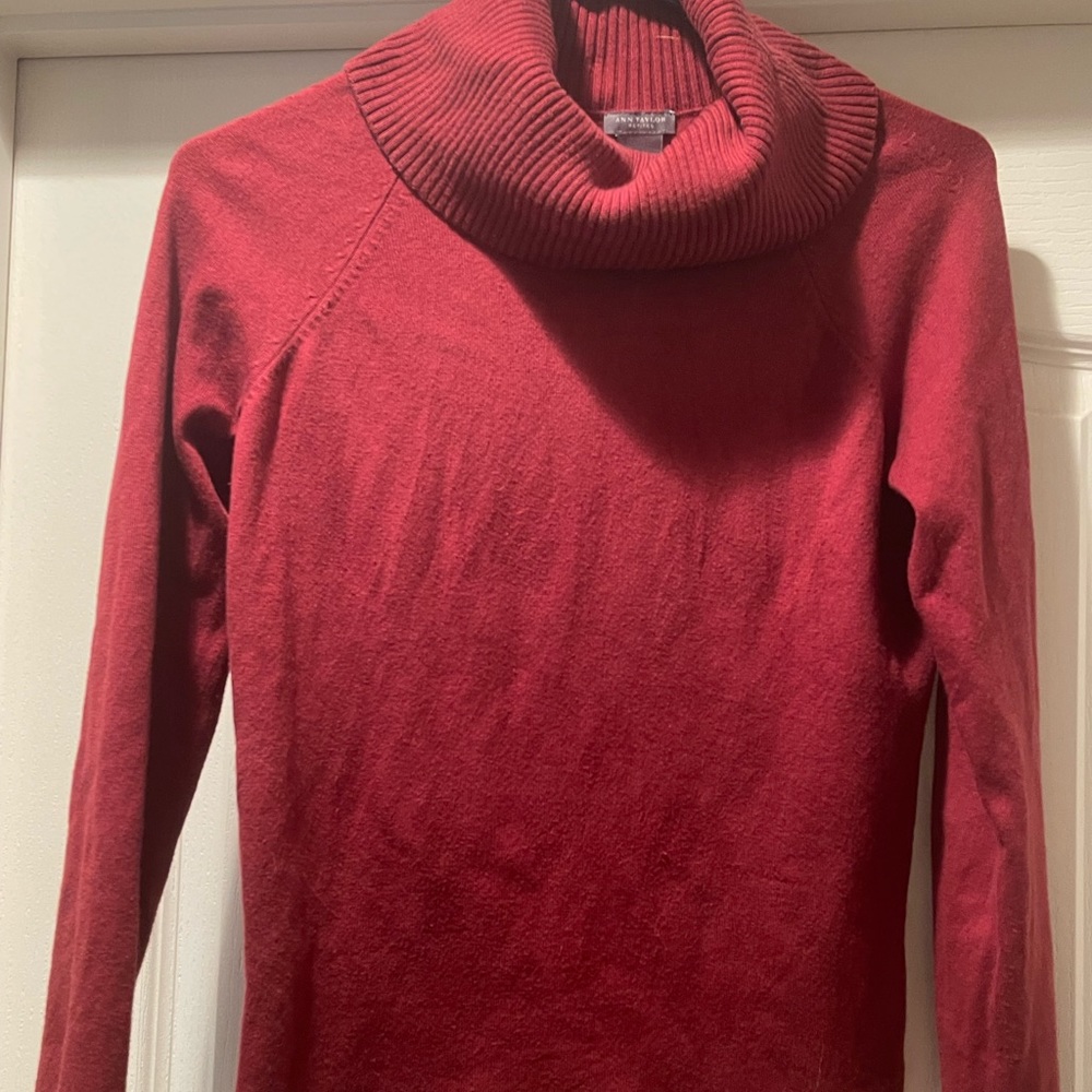 Long sleeve turtleneck